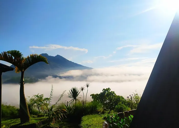 ロッジ Adventure 'hide Away In Kintamani